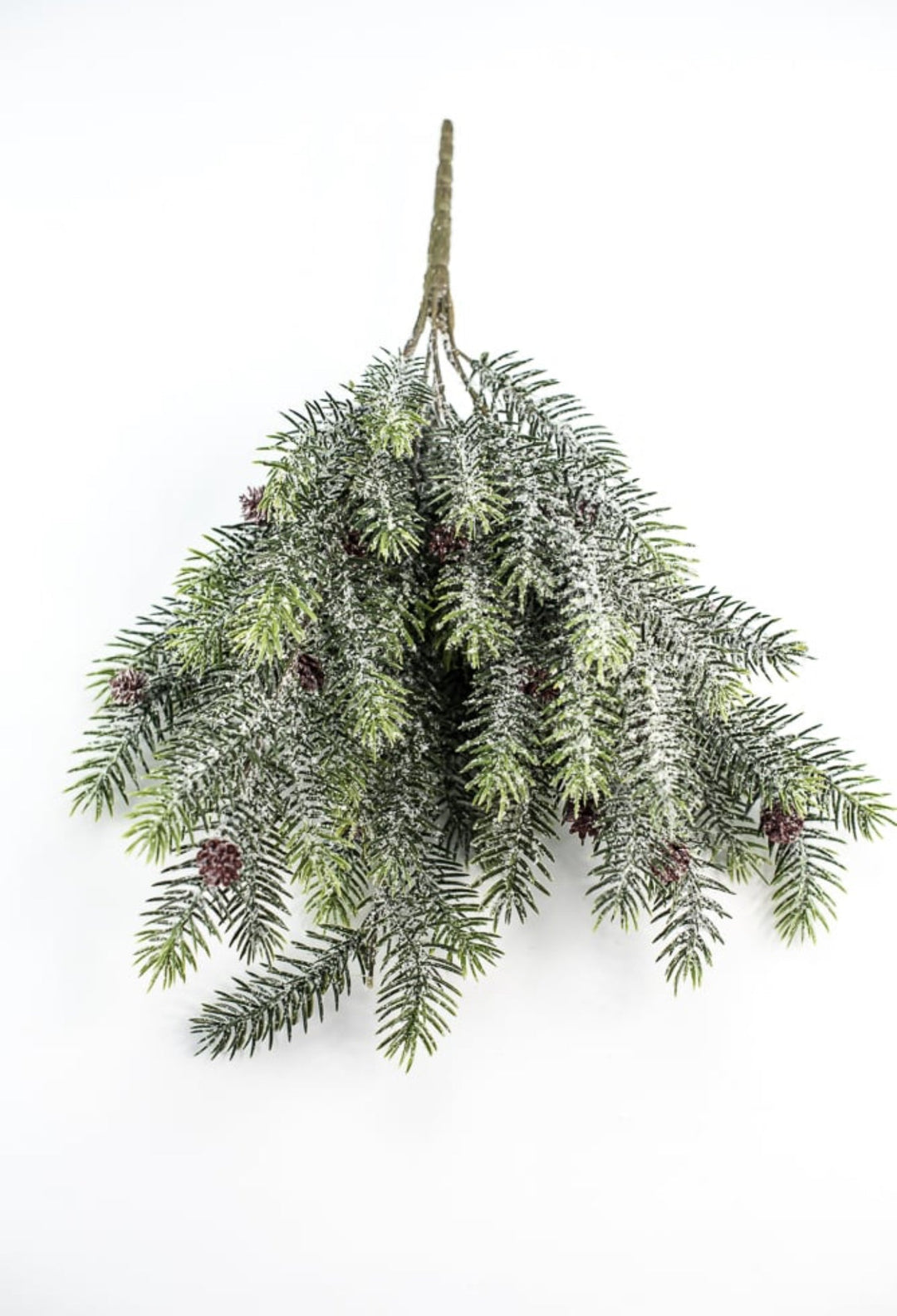 Snowy, evergreen bush with mini cones - Greenery Market84356