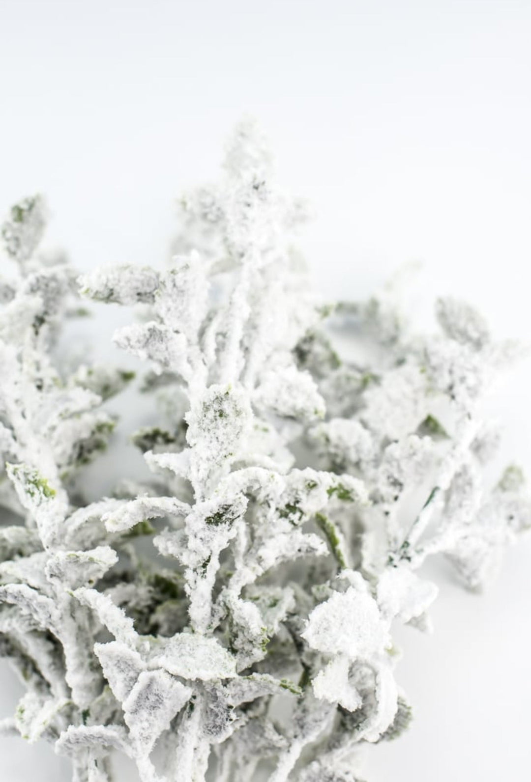 Snowy Mint Bush - Greenery MarketArtificial Flora82713GN