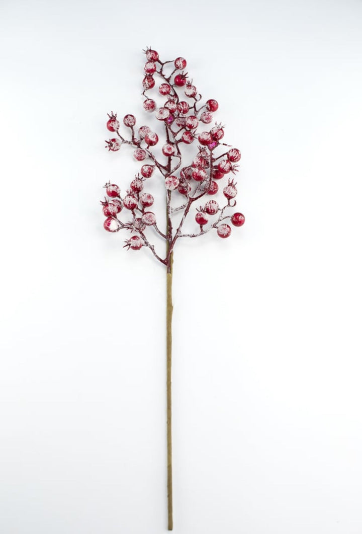 Snowy Red berries spray - Greenery MarketBerriesEC4025
