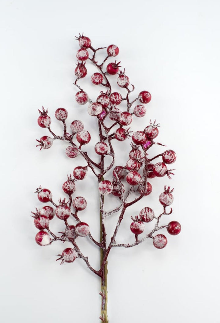 Snowy Red berries spray - Greenery MarketBerriesEC4025