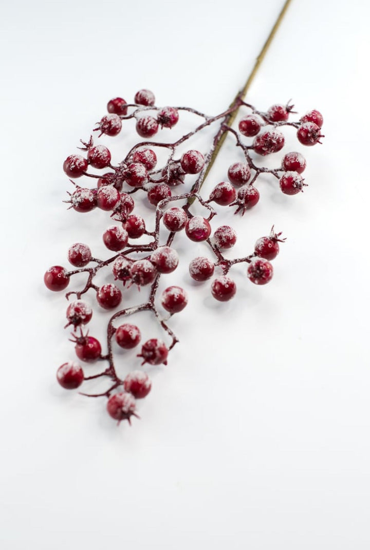 Snowy Red berries spray - Greenery MarketBerriesEC4025