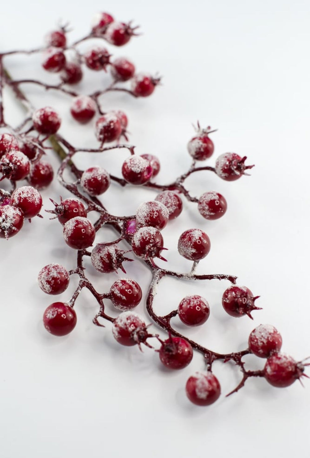 Snowy Red berries spray - Greenery MarketBerriesEC4025