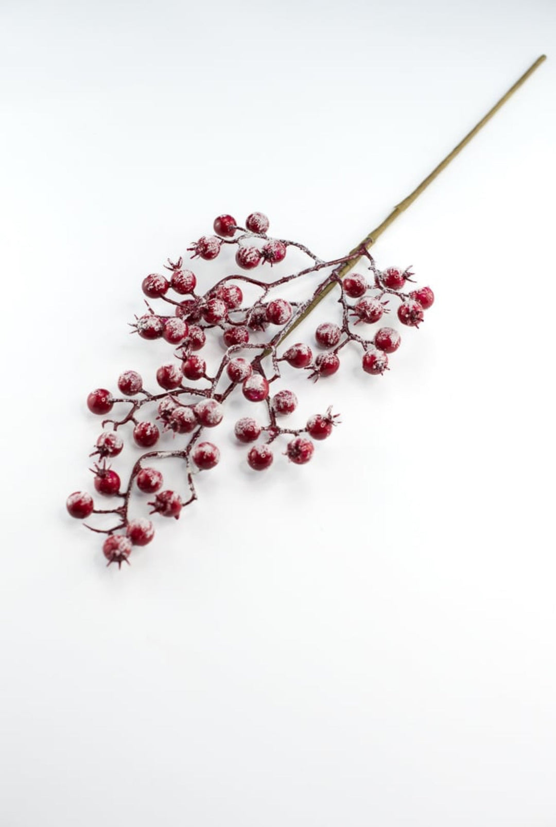 Snowy Red berries spray - Greenery MarketBerriesEC4025