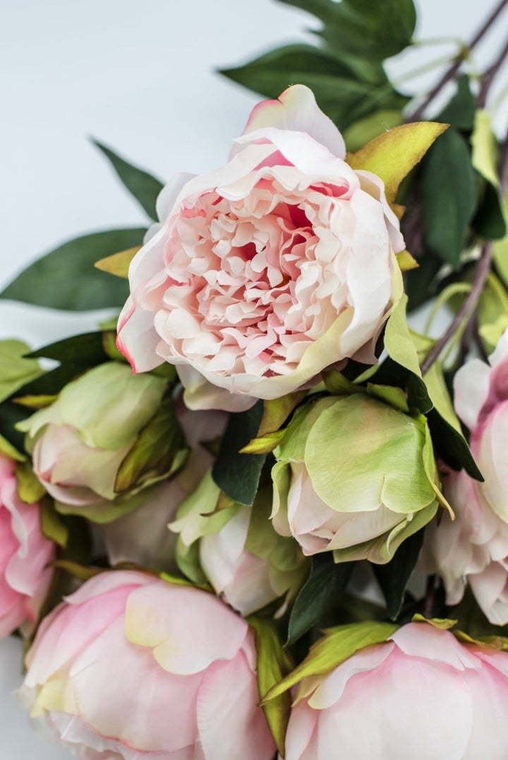 Soft Pink Peony artificial flower bush - Greenery Marketartificial flowers25787
