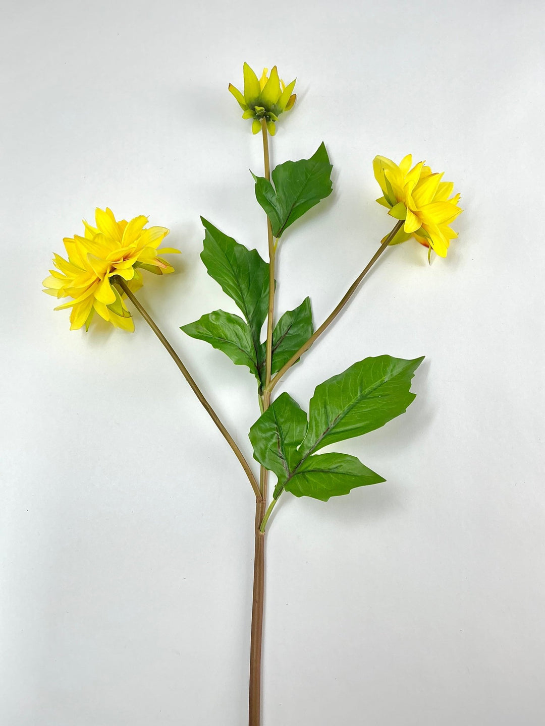 Soft touch dahlia yellow - Greenery Market2225045YL