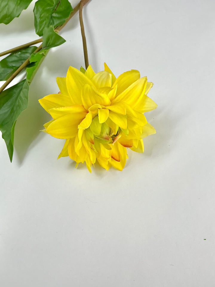Soft touch dahlia yellow - Greenery Market2225045YL