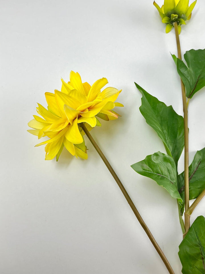 Soft touch dahlia yellow - Greenery Market2225045YL