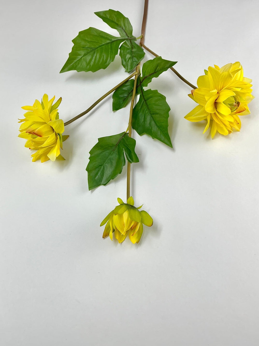 Soft touch dahlia yellow - Greenery Market2225045YL