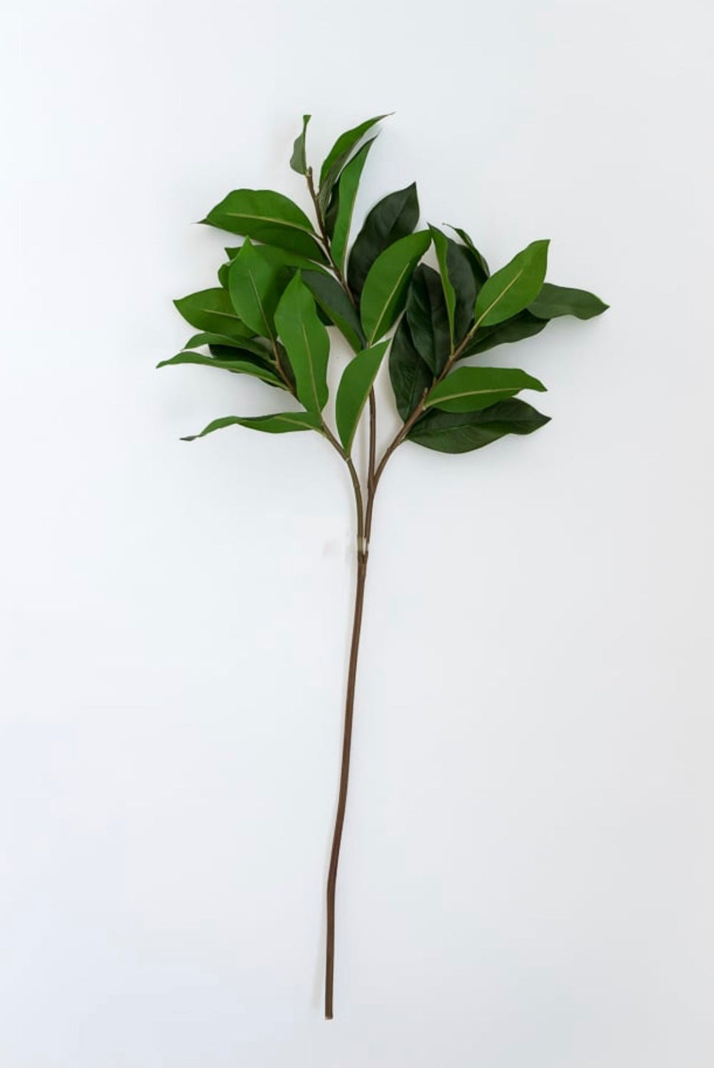 Soft touch, green leaves spray - Greenery Market2310321GR