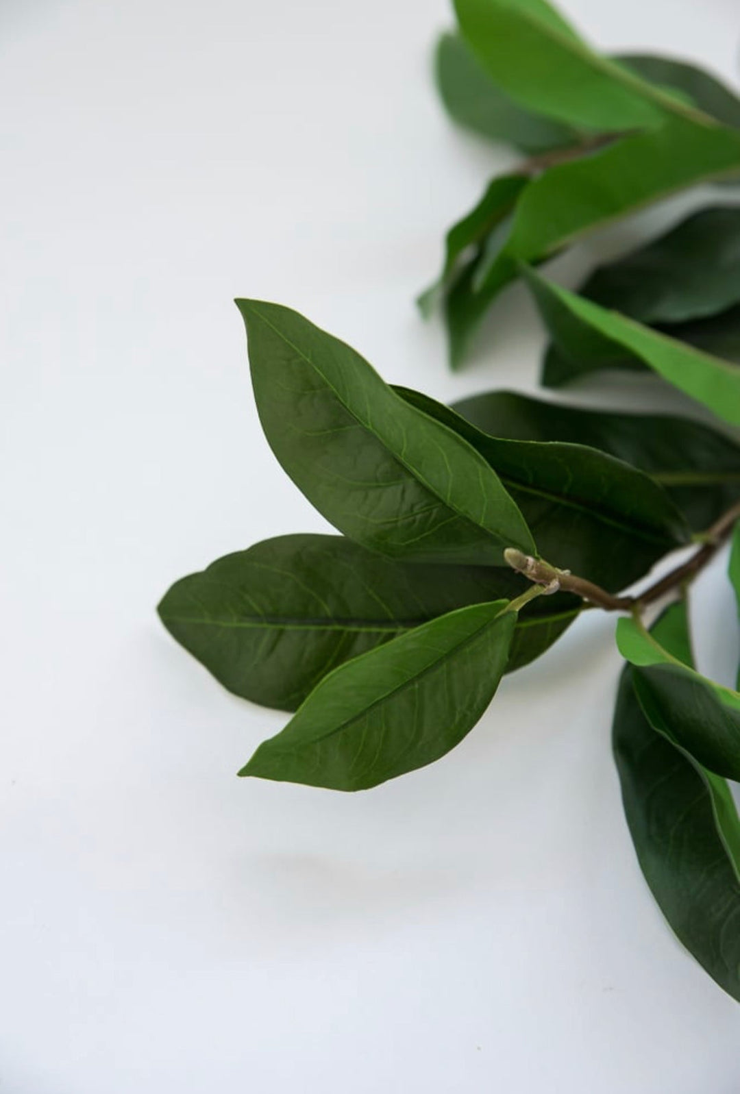 Soft touch, green leaves spray - Greenery Market2310321GR