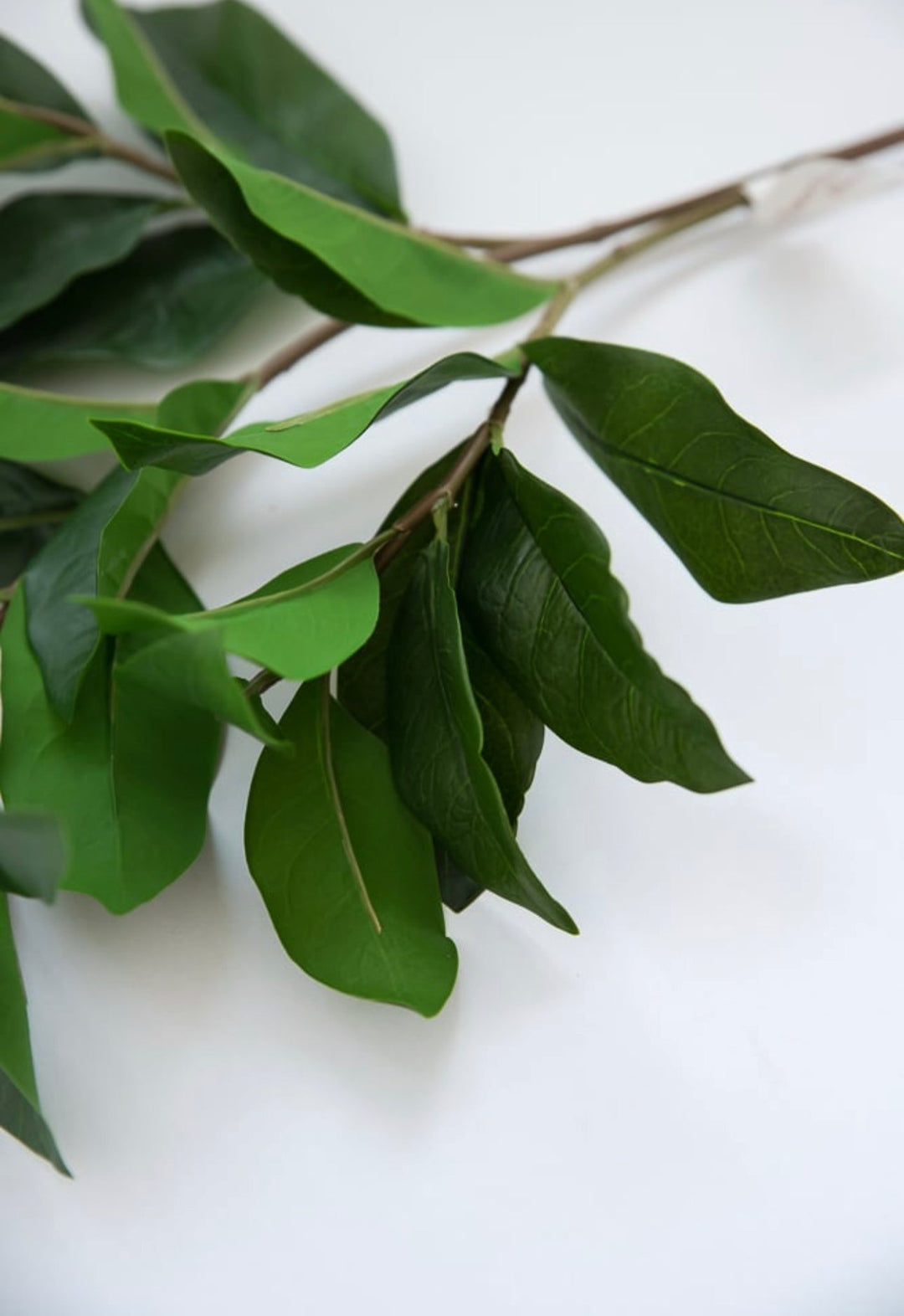 Soft touch, green leaves spray - Greenery Market2310321GR