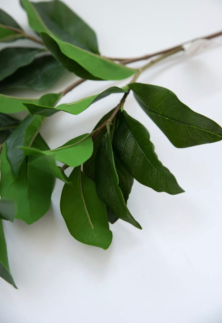 Soft touch, green leaves spray - Greenery Market2310321GR