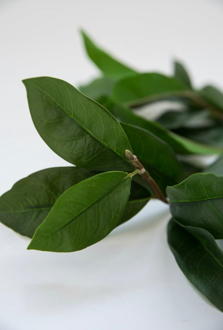 Soft touch, green leaves spray - Greenery Market2310321GR
