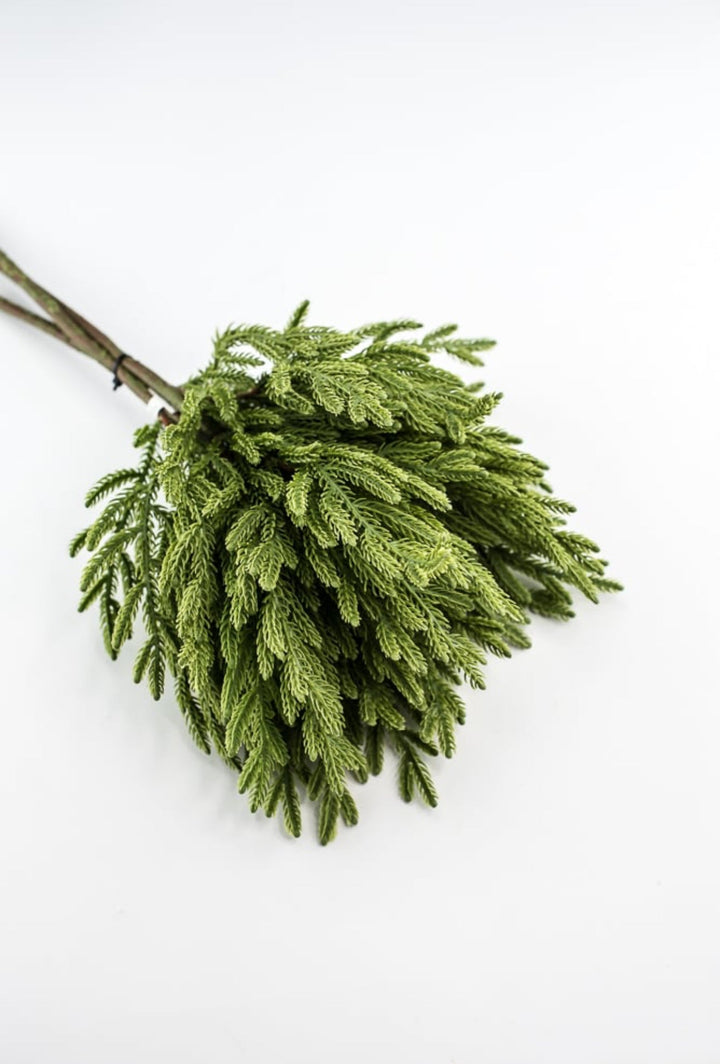 Soft touch Norfolk fir bundle - green - Greenery Market27919