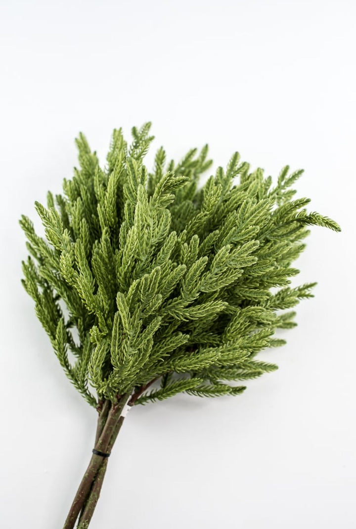 Soft touch Norfolk fir bundle - green - Greenery Market27919