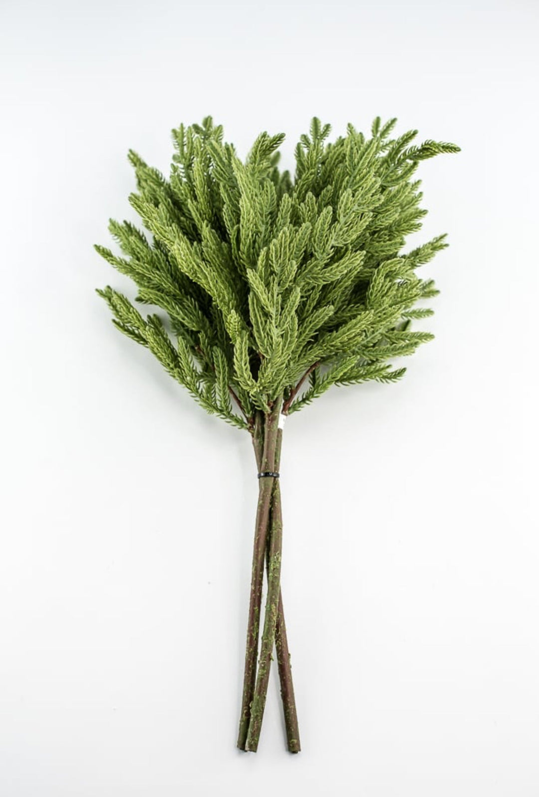Soft touch Norfolk fir bundle - green - Greenery Market27919