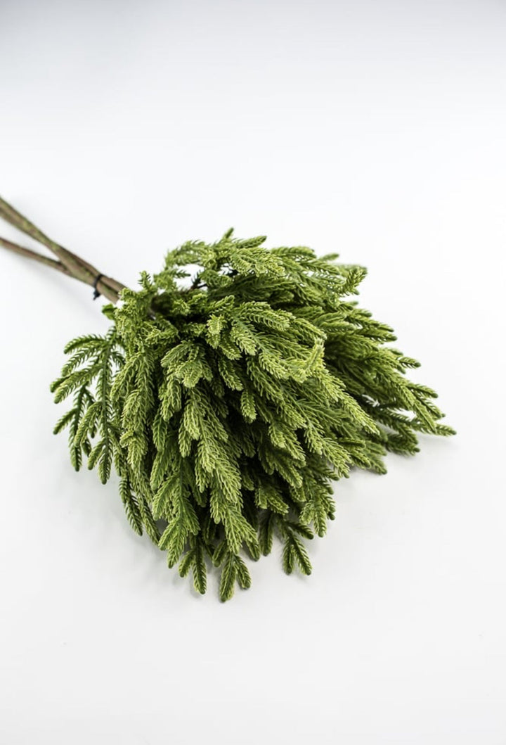 Soft touch Norfolk fir bundle - green - Greenery Market27919