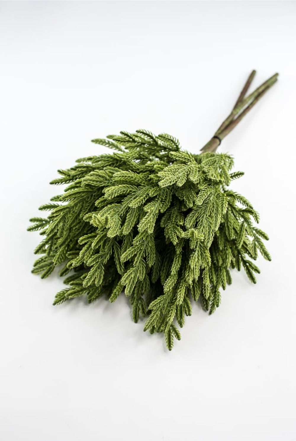 Soft touch Norfolk fir bundle - green - Greenery Market27919