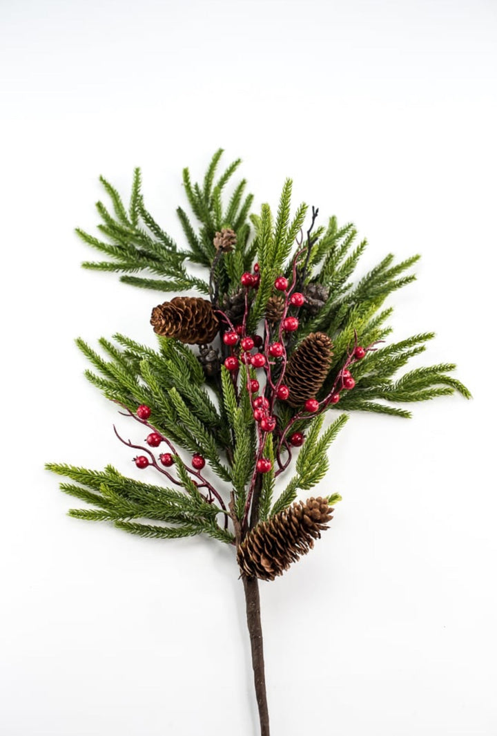 Soft touch Norfolk pine and berries spray - Greenery Market231895