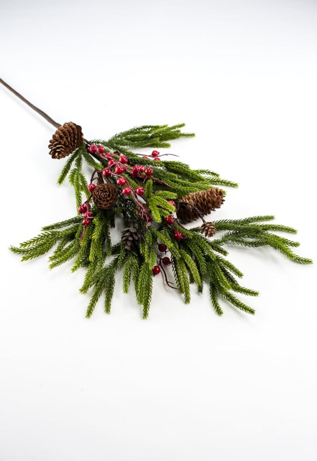 Soft touch Norfolk pine and berries spray - Greenery Market231895