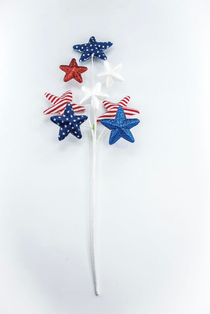Stars And Stripes Star Spray - Greenery Market74251RWB