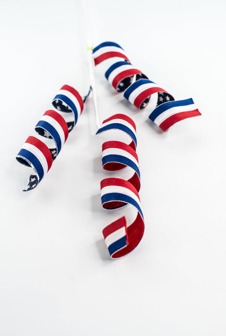 Stars Stripes Frizzy Curly Spray - Greenery Market74249RWB