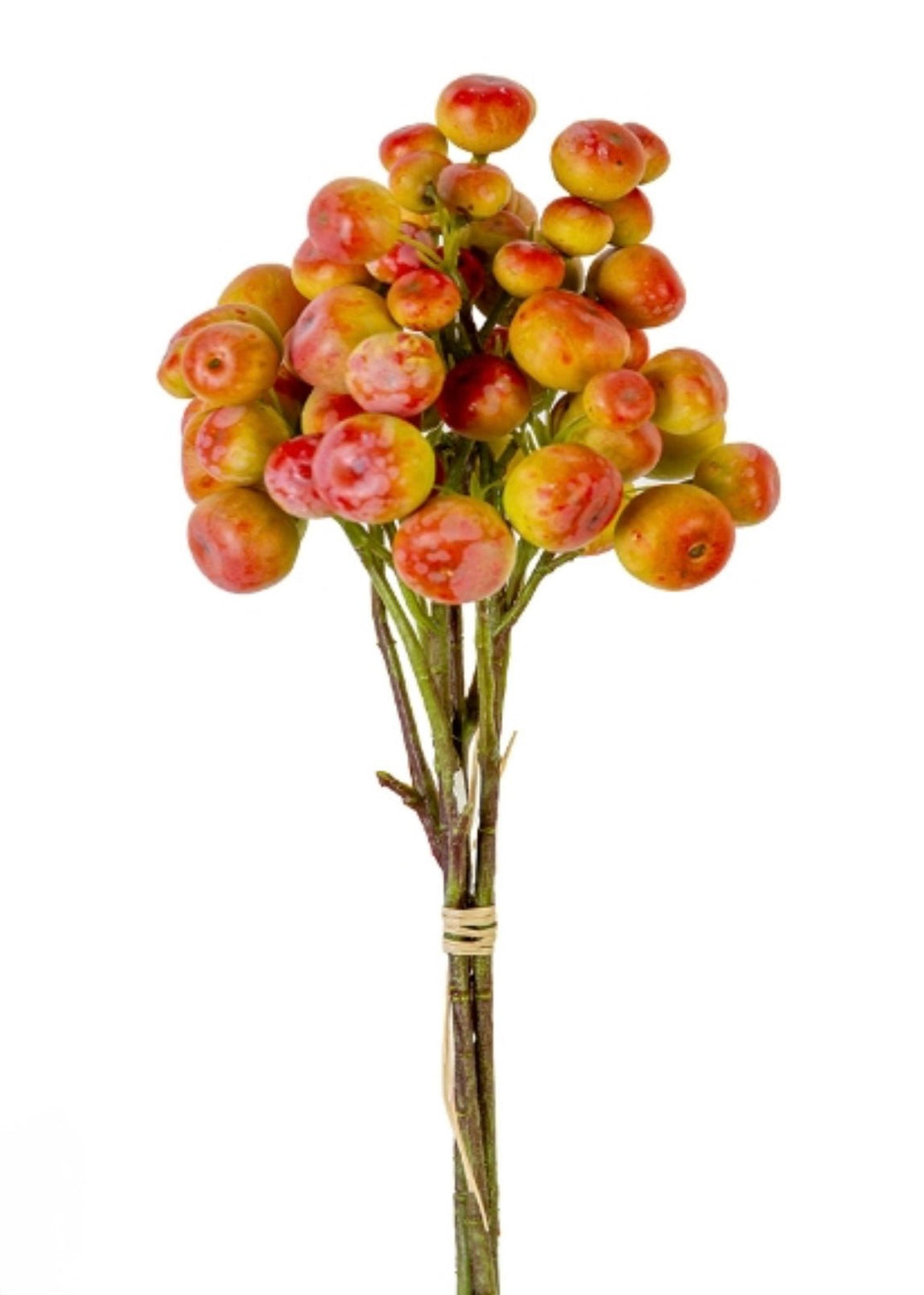 Summer crabapple bundle coral yellow - Greenery Market2110216or