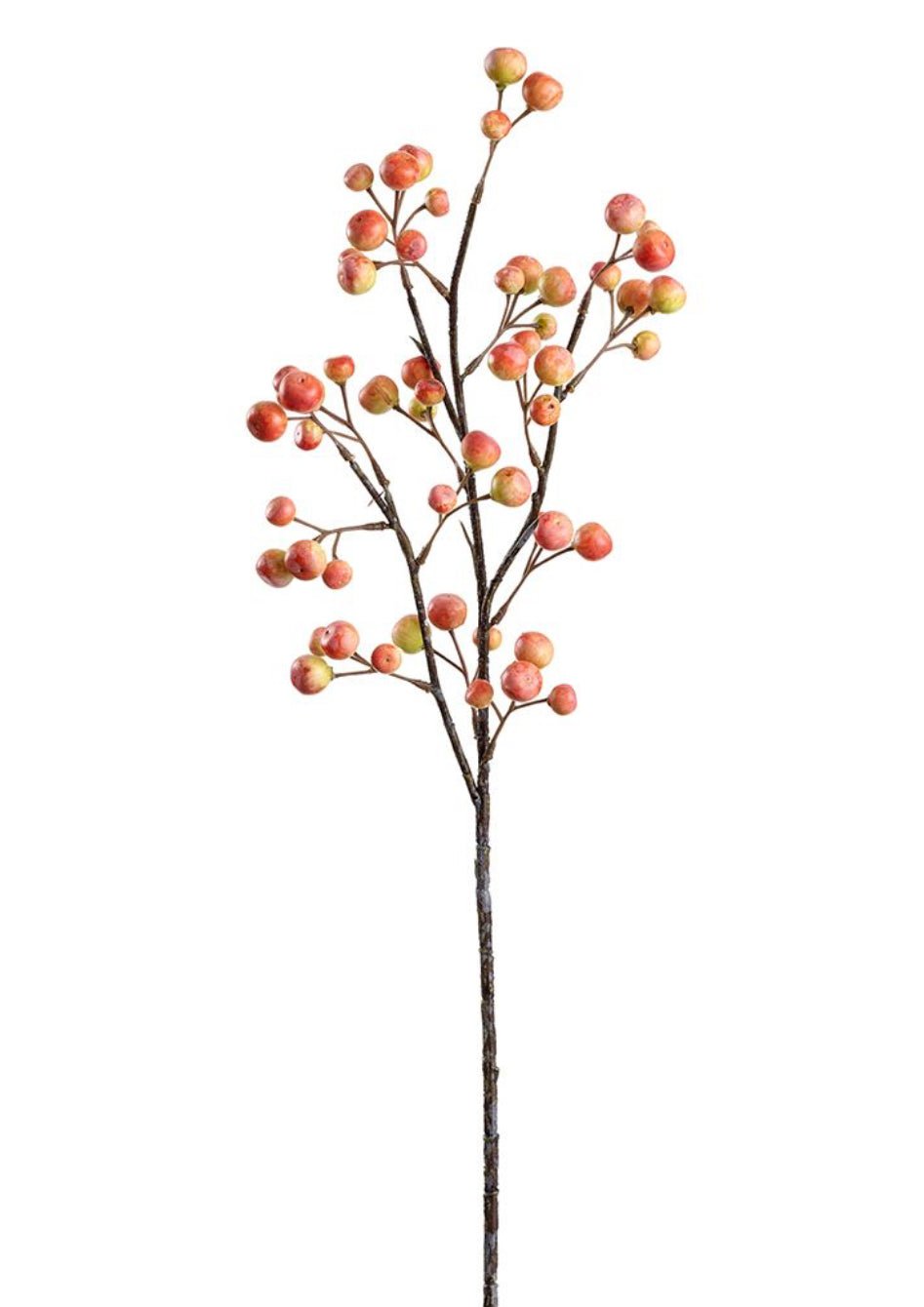 Summer crabapple spray coral yellow - Greenery MarketFSB420 - OR