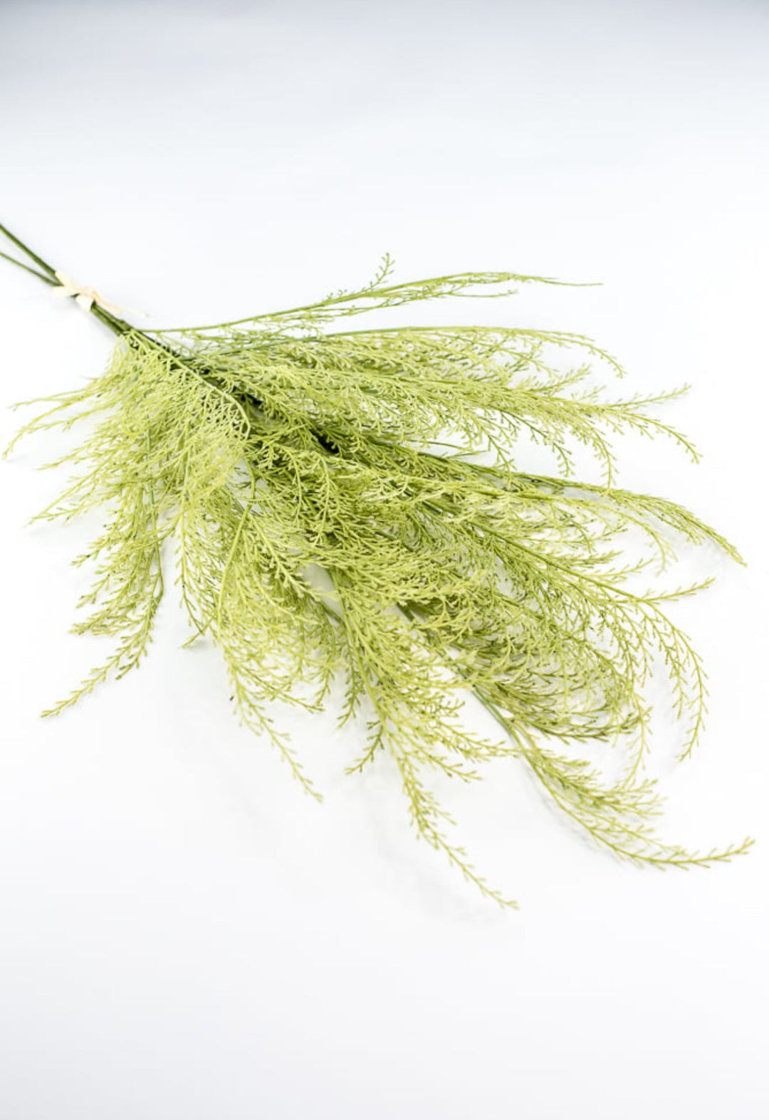 Tail fern spray - green - Greenery Marketartificial flowers84099 - APPLE.GN