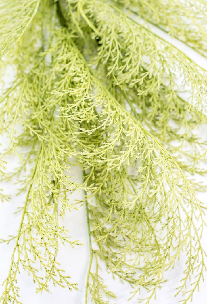 Tail fern spray - green - Greenery Marketartificial flowers84099 - APPLE.GN