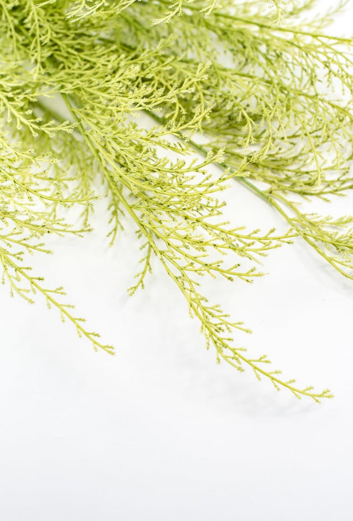 Tail fern spray - green - Greenery Marketartificial flowers84099 - APPLE.GN