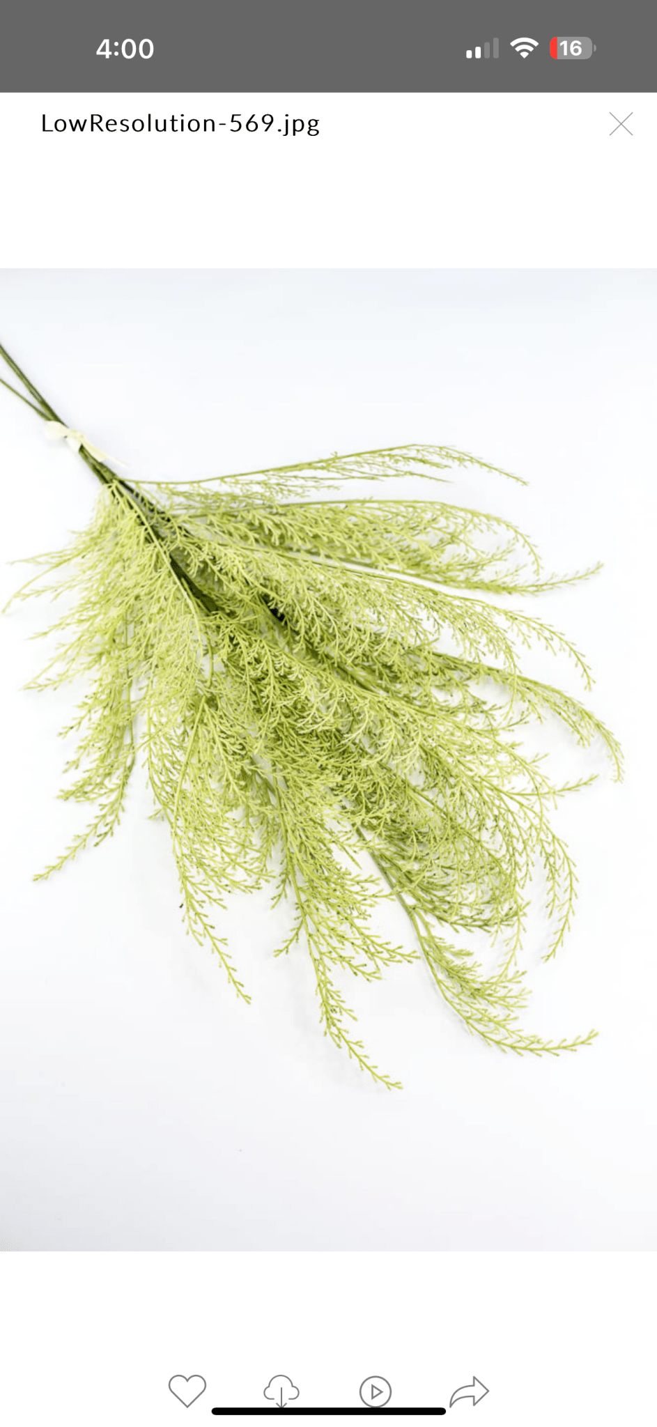 Tail fern spray - green - Greenery Marketartificial flowers84099 - APPLE.GN