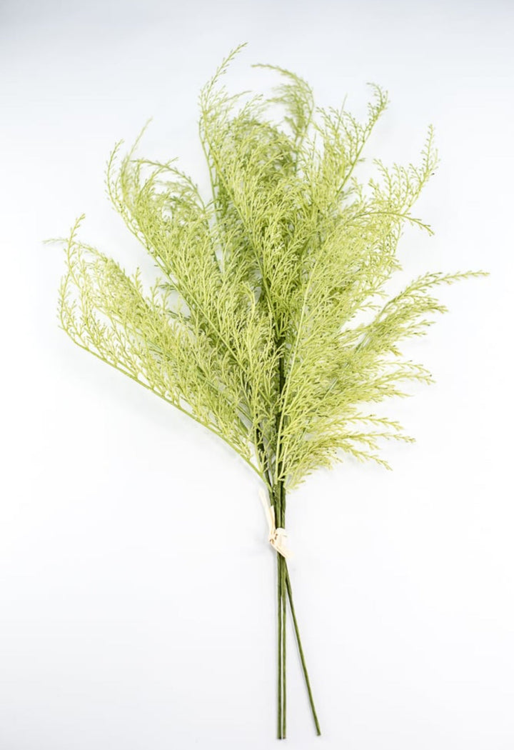 Tail fern spray - green - Greenery Marketartificial flowers84099 - APPLE.GN
