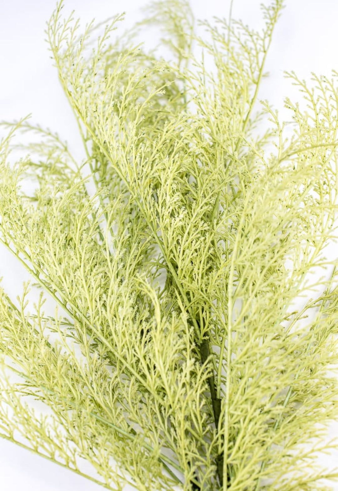 Tail fern spray - green - Greenery Marketartificial flowers84099 - APPLE.GN