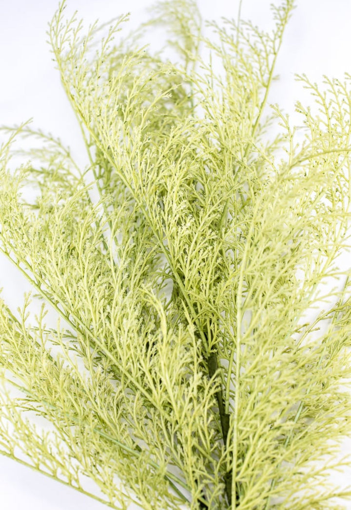 Tail fern spray - green - Greenery Marketartificial flowers84099 - APPLE.GN