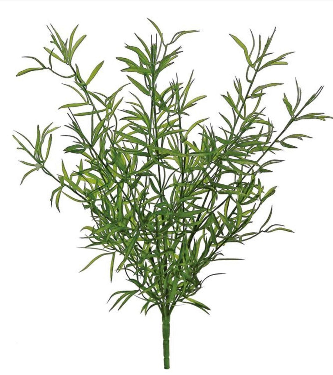 Tarragon leaf bush - greenery - Greenery Marketspring summer greeneryFL4234 - SG