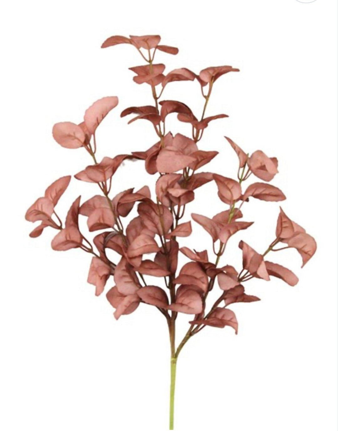 Terracotta eucalyptus leaf bush - Greenery MarketHA149137