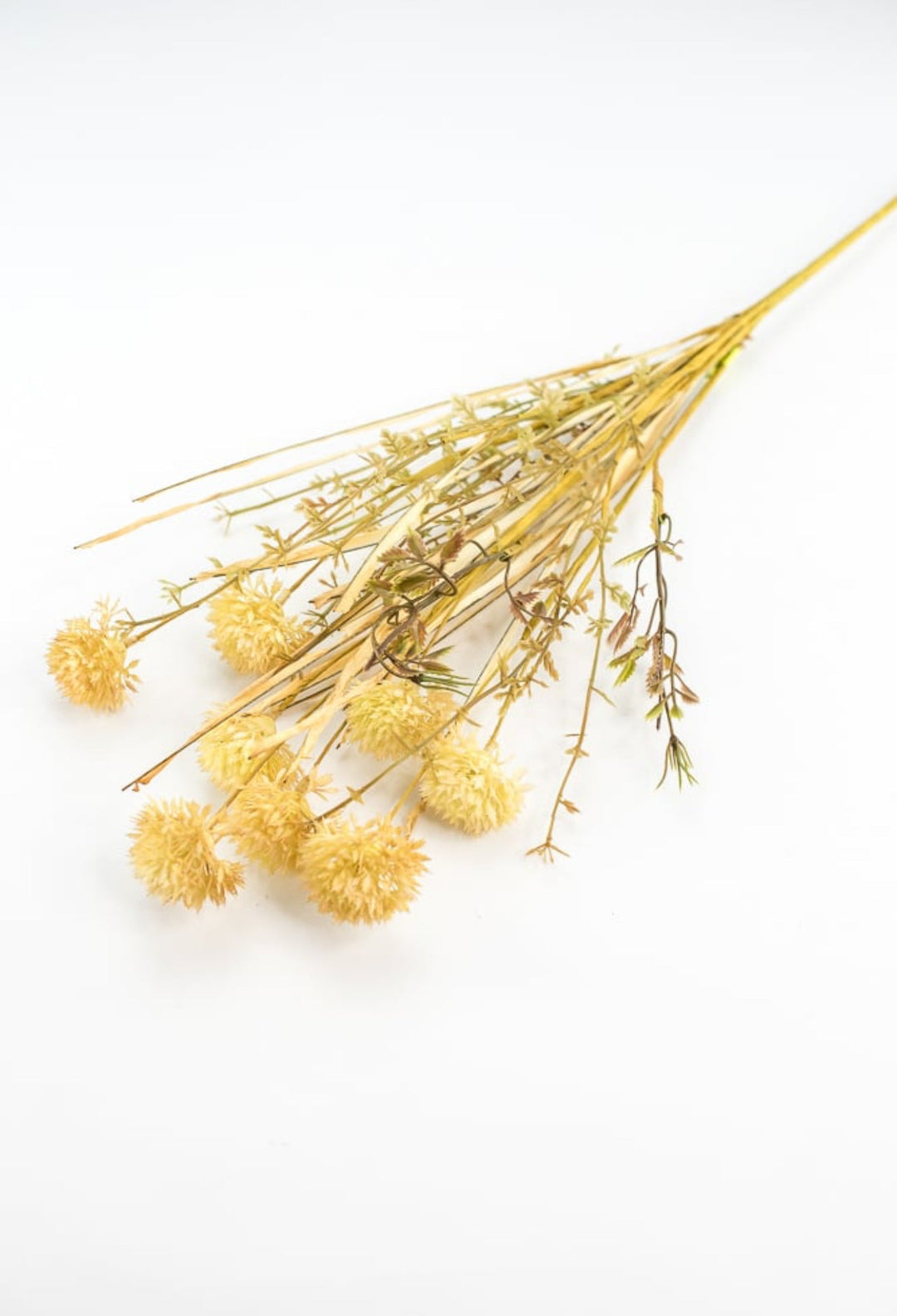 Thistle and grasses filler bush - allium - beige cream - Greenery Marketgreenery56514BE