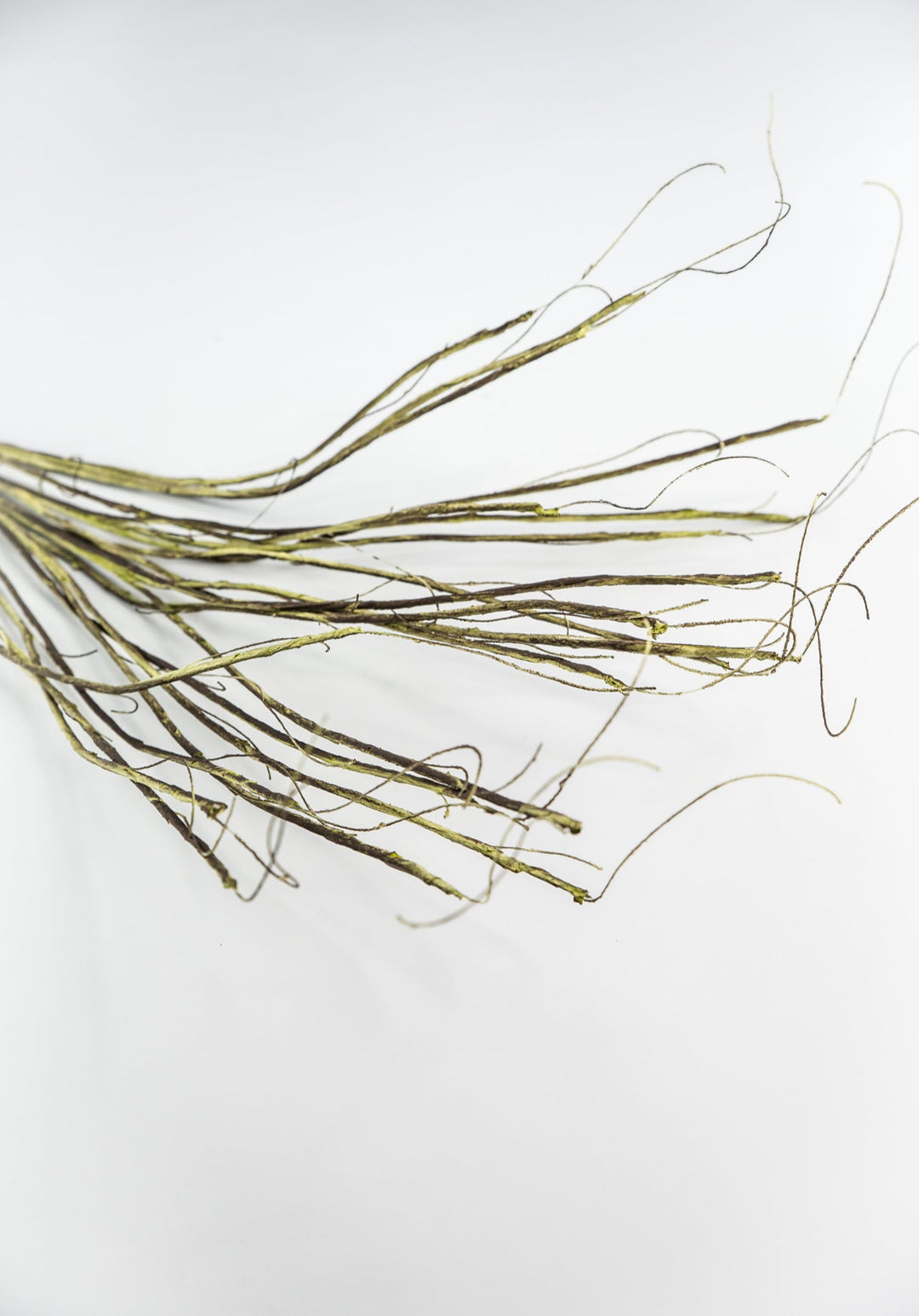 Twig spray - moss - Greenery MarketMT25620 GRN