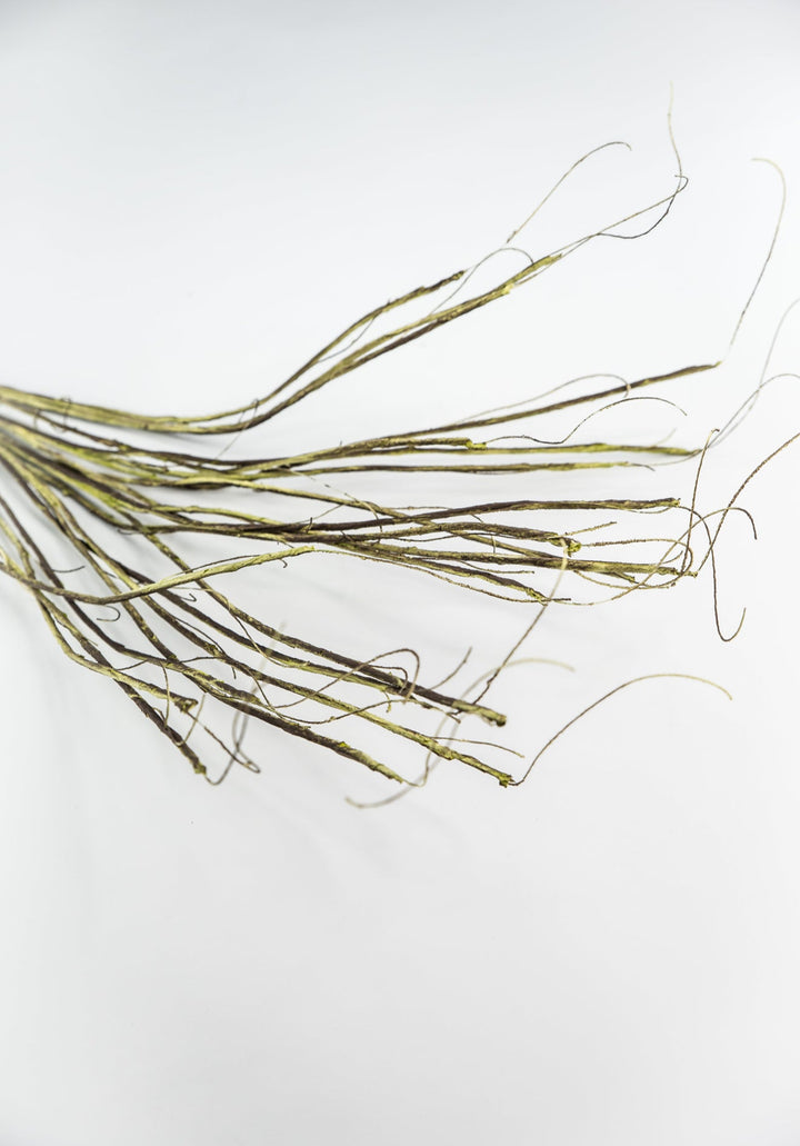 Twig spray - moss - Greenery MarketMT25620 GRN