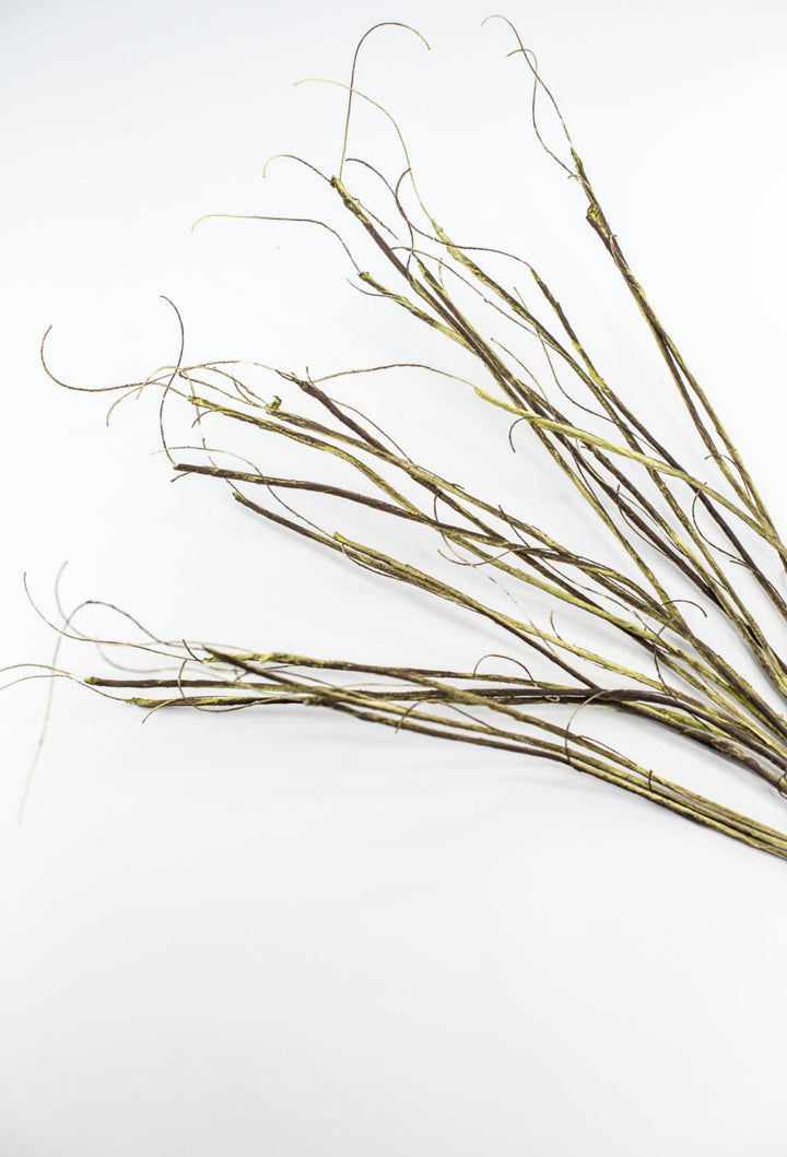 Twig spray - moss - Greenery MarketMT25620 GRN