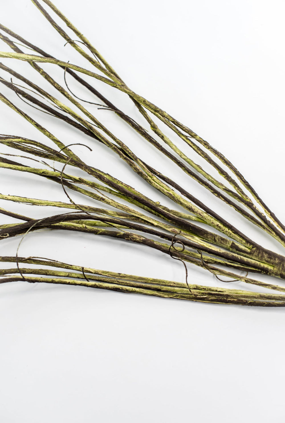 Twig spray - moss - Greenery MarketMT25620 GRN