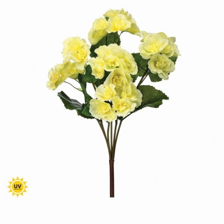 UV protected begonia bush, yellow - Greenery MarketMTF24522 YELL