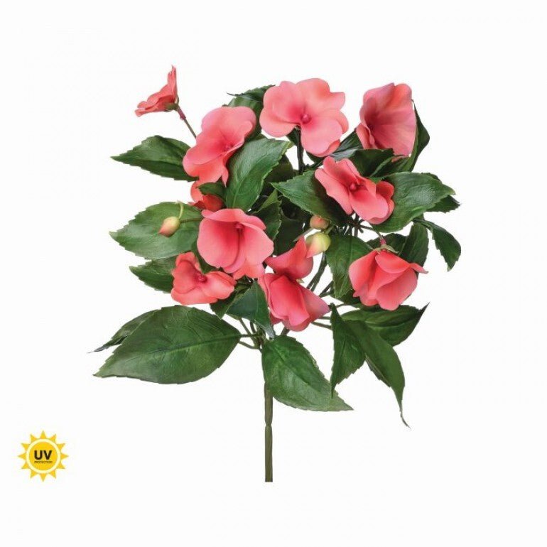 UV protected impatient bush, salmon - Greenery MarketMTF24523 SALP