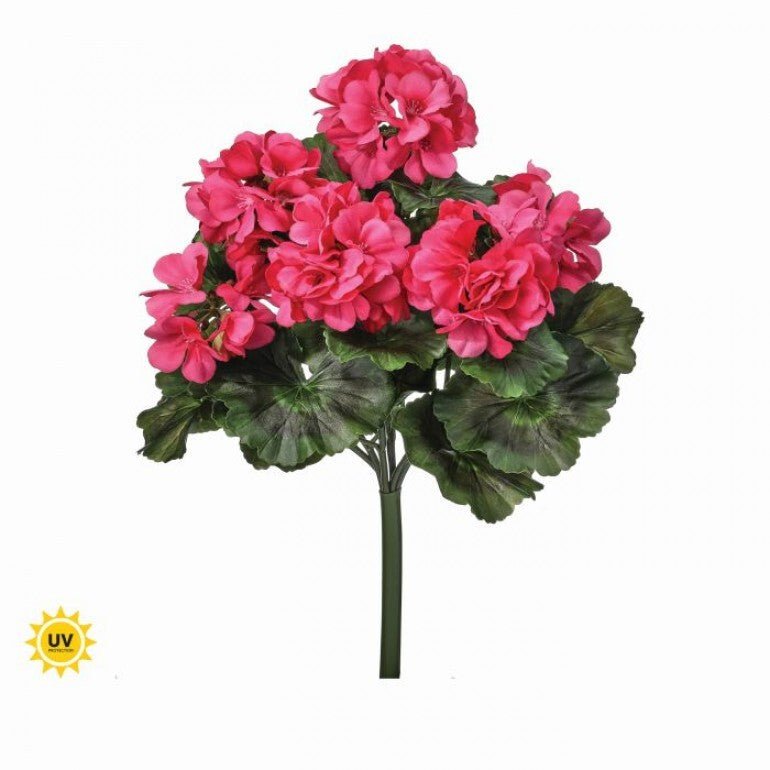 UV Protected Outdoor Geranium Bush, Hot Pink - Greenery MarketMTF24525 HTPK