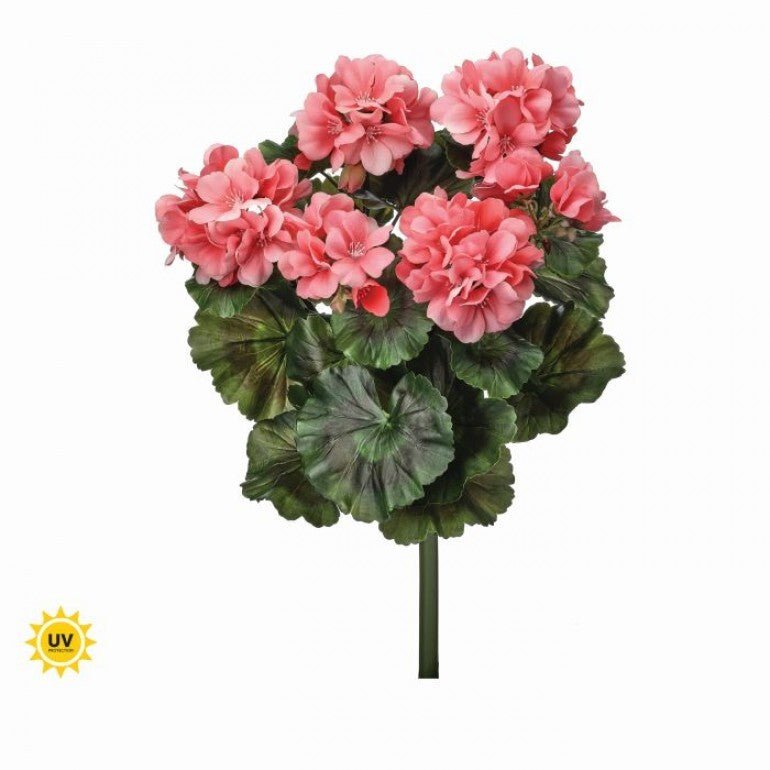 UV Protected Outdoor Geranium Bush, Salmon - Greenery MarketMTF24525 SALP