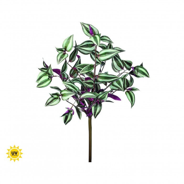 UV protected Tradescanthia Bush - Green - Greenery MarketMTF24534 PLGR