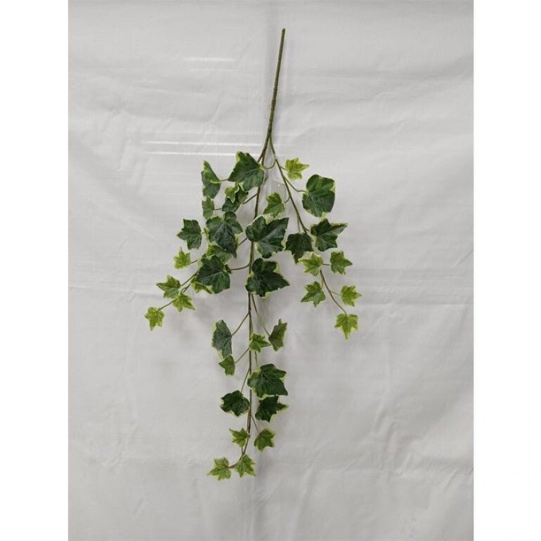 Variegated Green Ivy Spray x Bulk 6 Sprays - Greenery MarketMTF24582 TTGR x 6 sprays