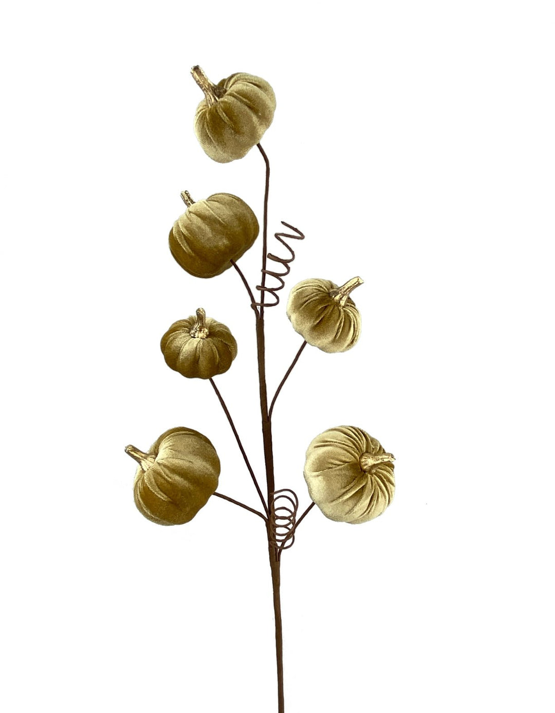 Velvet Pumpkin spray - tan - Greenery MarketPicks56780BN