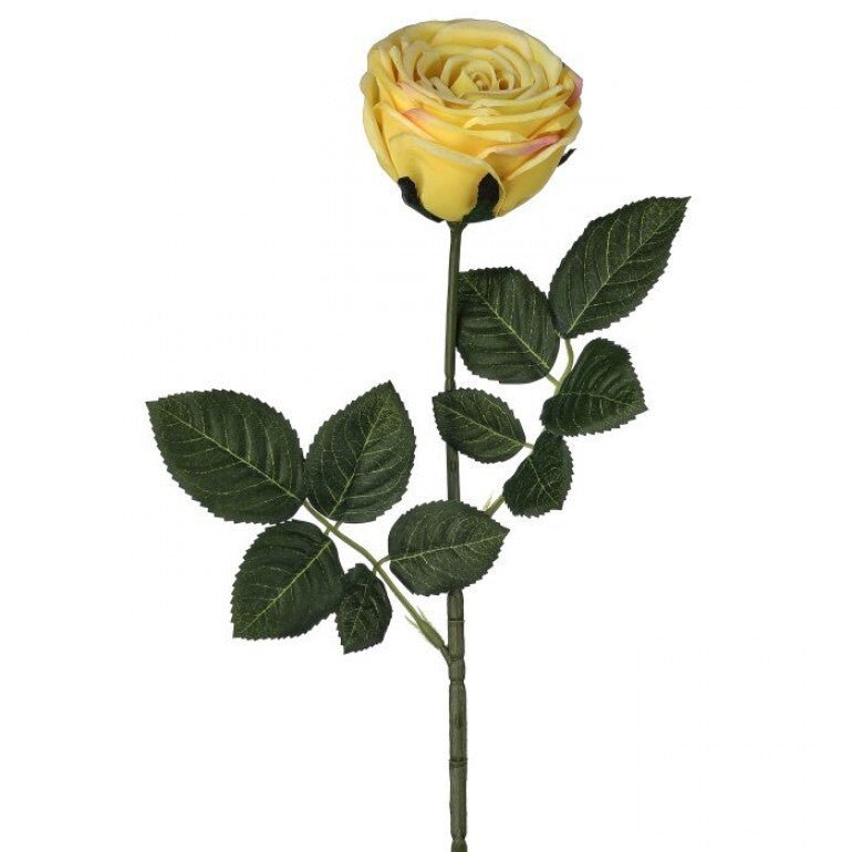 Vintage Rose Stem - Buttercream - Greenery MarketMTF24435 BUTT